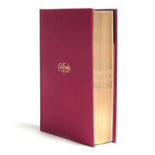 Cargar imagen en el visor de la galería, Biblia "Devocional Centrada en Cristo"