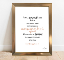 Cargar imagen en el visor de la galería, Deco Trilogía "Misericordia"
